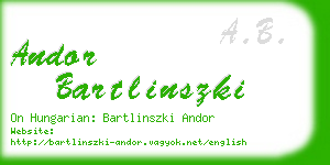 andor bartlinszki business card